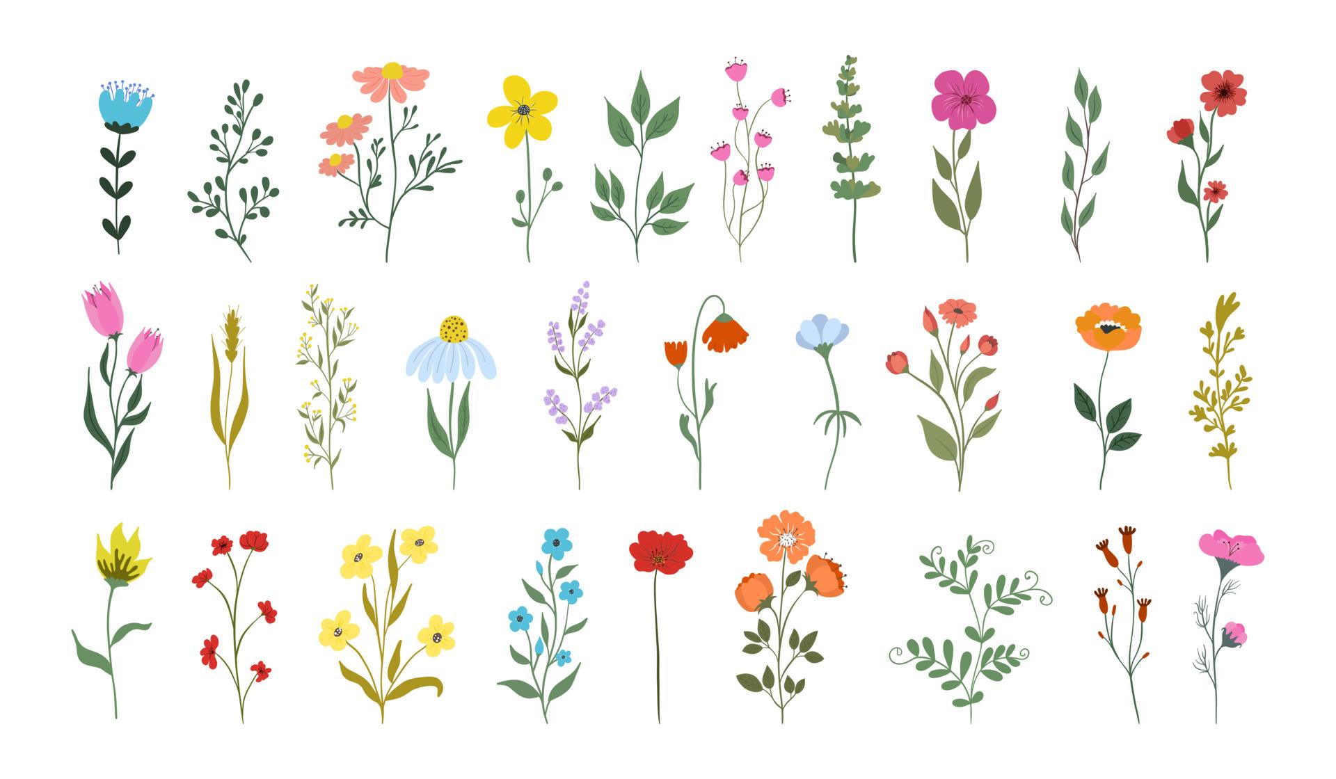 ilustração de varias flores