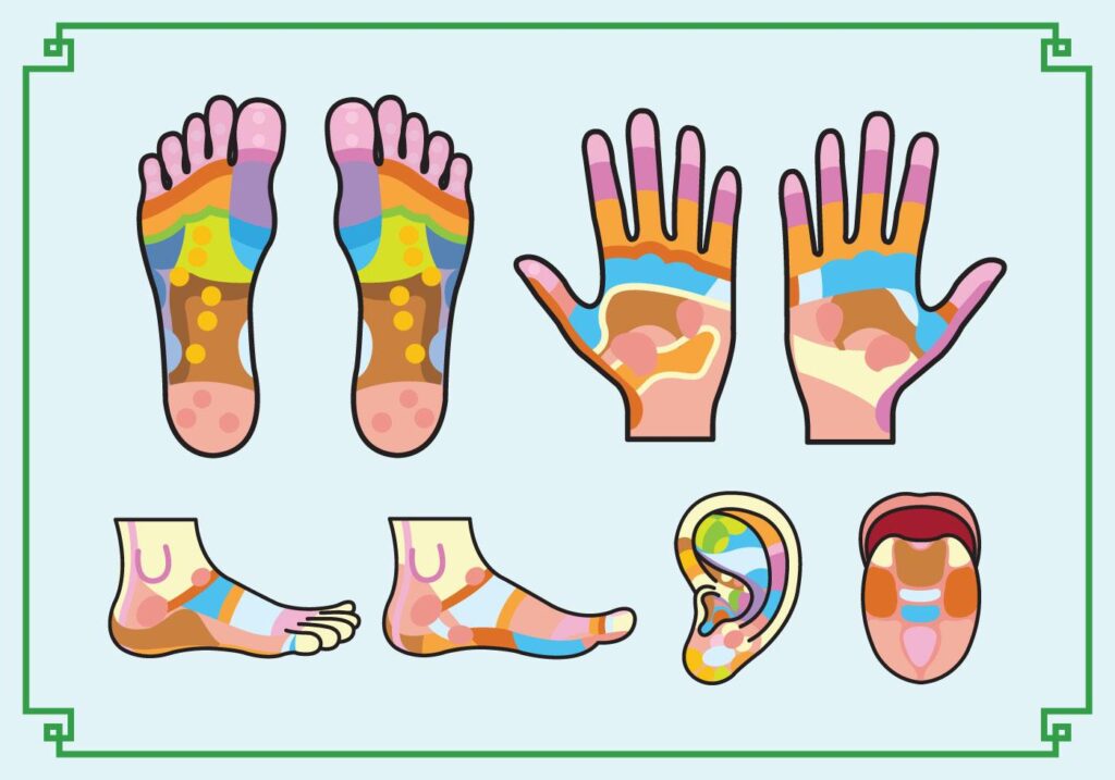 diagrama com mapas de reflexologia de maõs pes e ouvido