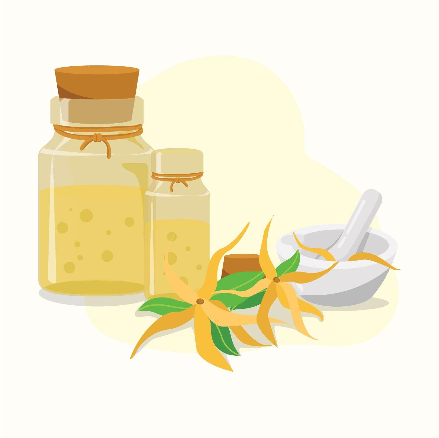 ilustraçao Oleo Eseencial de ylang ylang